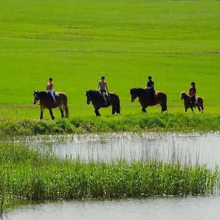 5 Bedroom Pet Friendly In Nyaraló *