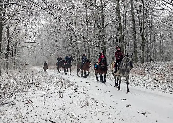 Holiday home 5 Bedroom Pet Friendly In Srokowo